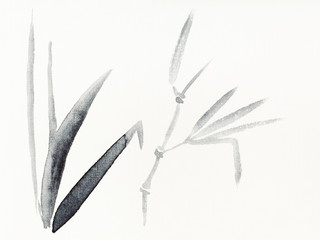 reed plants drawn by black watercolors