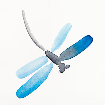 dragonfly with blue wings drawn by watercolors