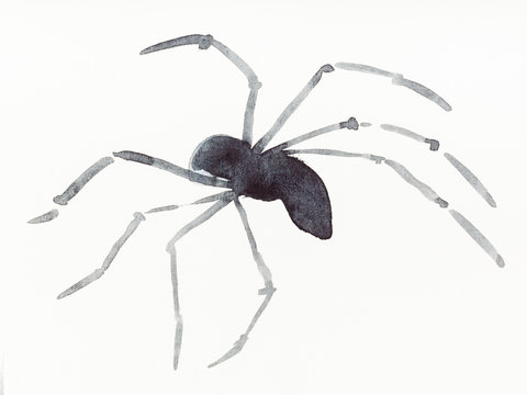 running spider drawn by black watercolors