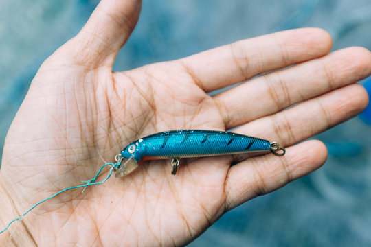 fish model bait on hand