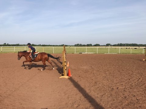Young Caucasian Girl Having Just Jumped Her Horse English Riding.