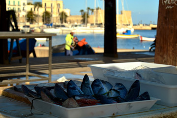 Bari © Marzena