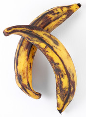 TWO PLANTAIN