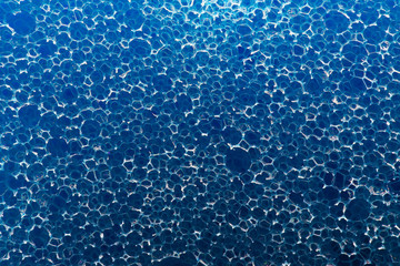  blue sponge close up macro