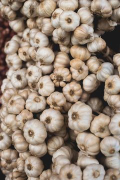 Garlic
