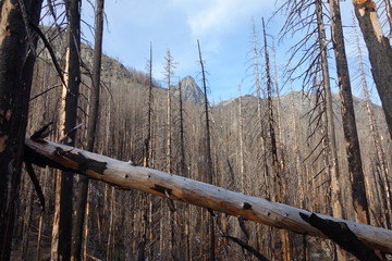 Landscapes of the Pacific Northwest, Washington State