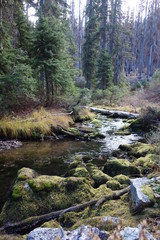 Landscapes of the Pacific Northwest, Washington State