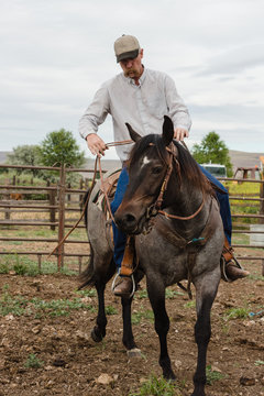 man rides young colt in corral