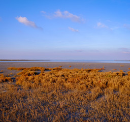 Paysage Camargue
