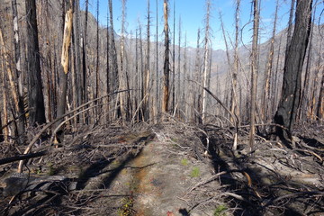 Landscapes of the Pacific Northwest, Washington State