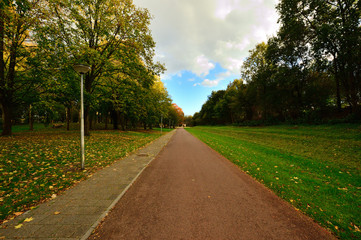 Fototapeta na wymiar Droga wśród drzew w parku miejskim.