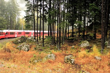 Bernina Express fährt durch die Herbstlandschaft von Graubünden, Schweiz