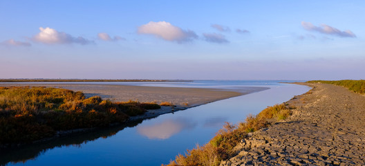 Obraz premium Paysage Camargue