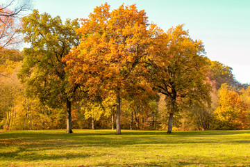 Naklejka premium Herbst