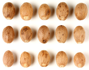 NUTMEG