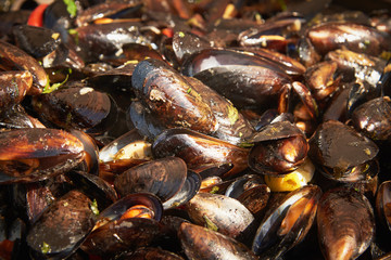 Boiled mussels with herbs and sweet pepper
