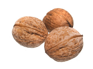 nut isolated on white background