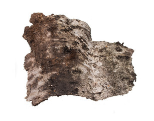 bark isolated on white background