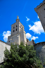 The Palais des Papes in the city of Avignon, Provence, France