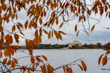 Jefferson Memorial with fall leaves