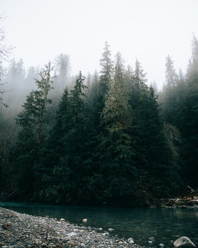 Forrest Smith photos, images, assets Adobe Stock