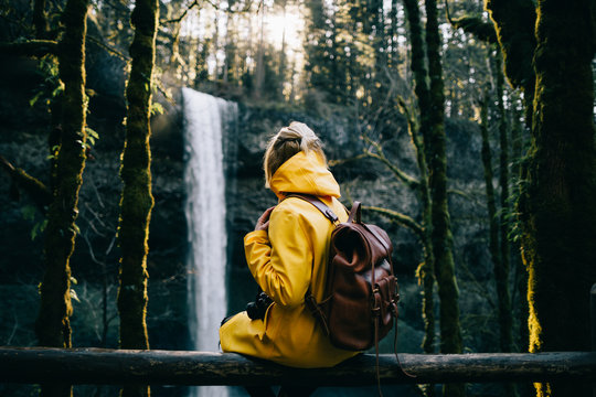 Rear view of woman looking at waterfall while sitting on wooden log