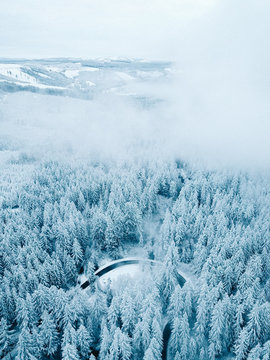 Aerial view of snow covered trees and misty clouds