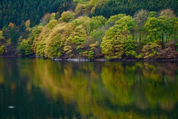 Rursee Lake Autumn Water Reflections