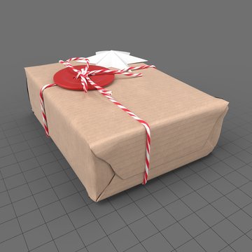 Wrapped holiday present with twine