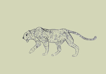 Cheetah prowling. Black line drawing Isolated on light green background. Hand drawn illustration. Pencil sketch. Profile of African predator. Walking animal.