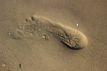 Footprint 