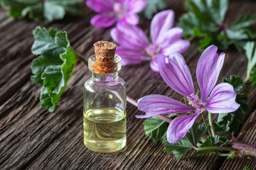 A bottle of common mallow essential oil with blooming malva sylvestris twigs