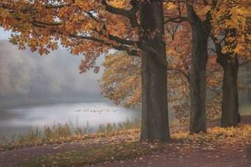Autumn in the Catherine Park in Tsarskoye Selo. October 2018. Pushkin City. Russia.