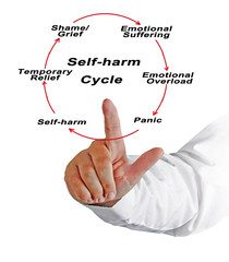  Self - harm Cycle.