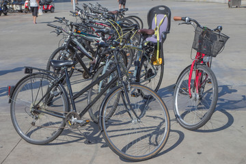 Large selection of bicycles for hire
