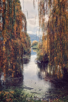 i colori dell'autunno sullo stagno di ortucchio