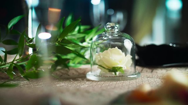 decorative flower under a glass bulb lying on a table next to a green branch surrounded by glasses and plates