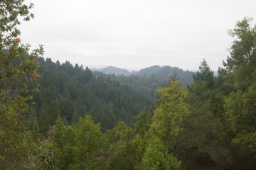 Austin Creek State Recreation Area is a state park unit of California, United States, encompassing an isolated wilderness area.