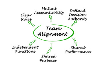 Characteristics of Team Alignment.