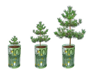 tree growing from euro bill
