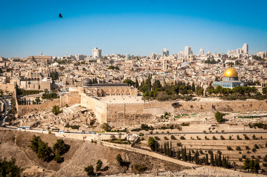 JERUSALEM, ISRAEL. October 30, 2018. A bird flying over the Temple Mount of the Old city of Jerusalem. A panoramic view of the Al Aqsa mosque and Dome of the Rock stock image. Day, summer