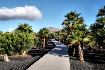 Fototapeta premium Lanzarote - Spain