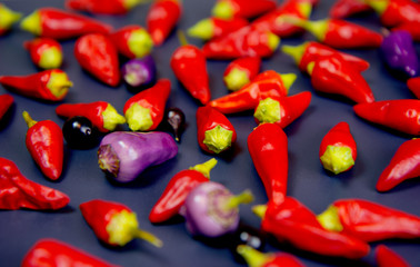 Red, purple and black spicy peppers on the black background