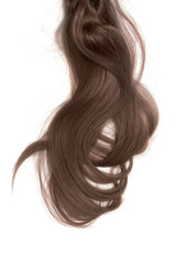 Naklejka premium Bad hair day concept. Long, brown, disheveled ponytail