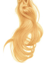 Bad hair day concept. Long, blond, disheveled ponytail