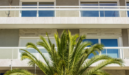 Fototapeta na wymiar hotel white front facade buildings and palm on south Mediterranean district 