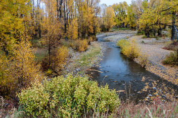 autumn in the park