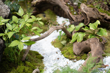 One part of Japanese garden