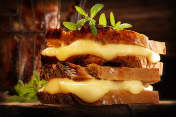 Whole grain bread sandwich with cheese and hrbs on wooden background and empty space for text