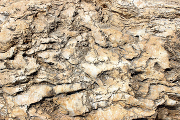 Carved yellow sedimentary rock surface texture detail